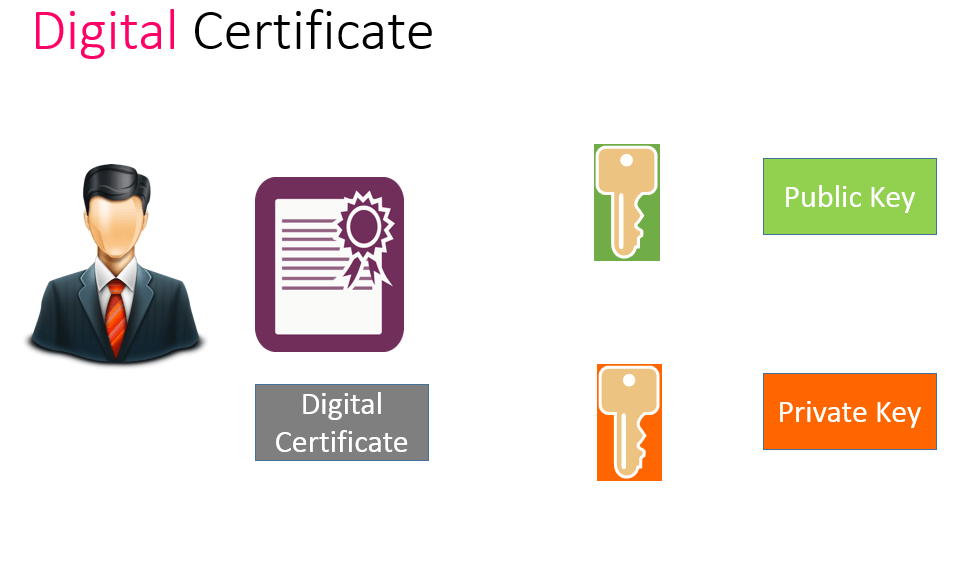 Bidding digital certificates