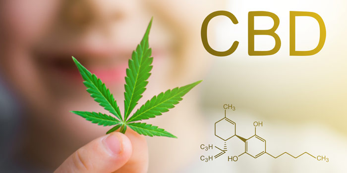 Best CBD Oil