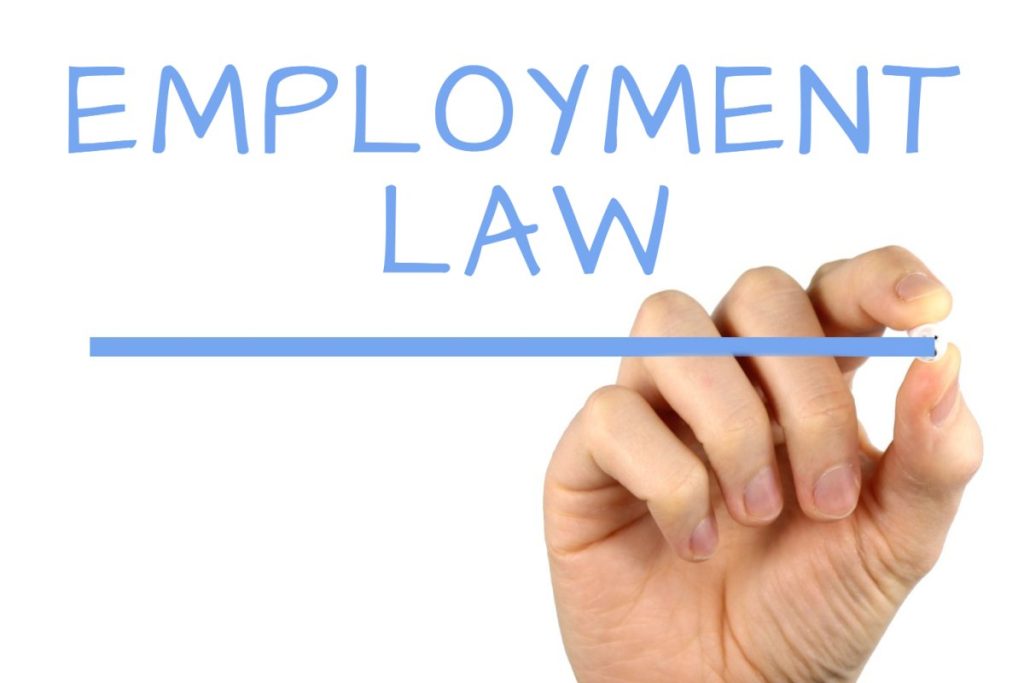 Employment Lawyer